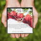 Intertwined Hearts - Red Roses - 247Wish4You
